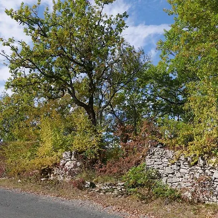 Maison De Village Pres De Rocamadour Payrac